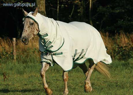 Derka na owady