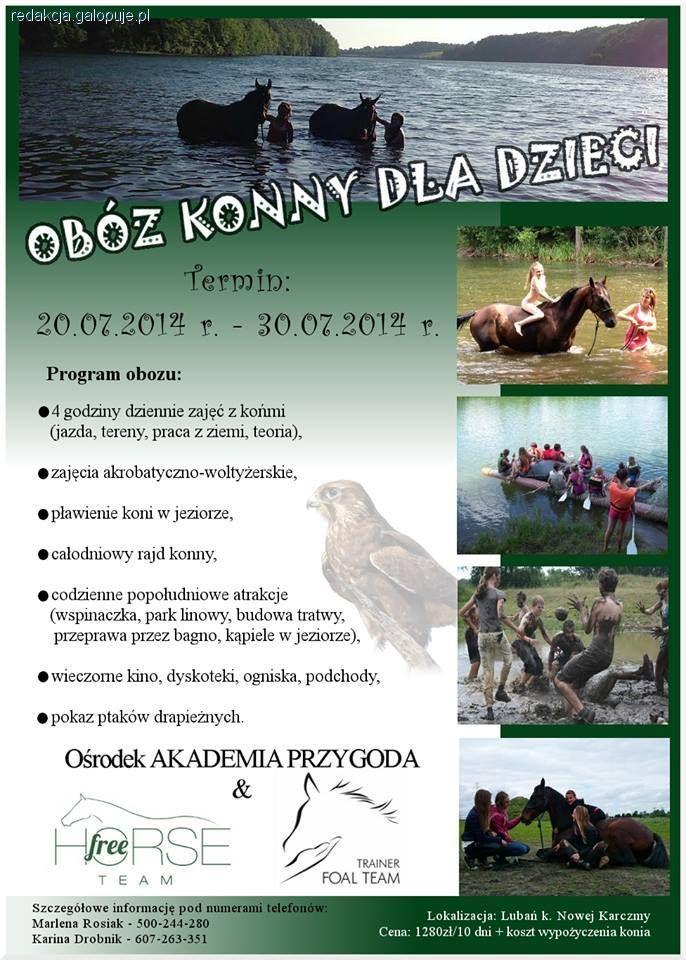 OBÓZ KONNY DLA DZIECI Free Horse Team