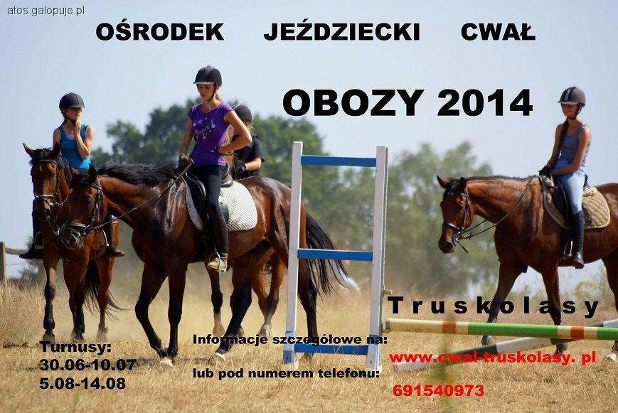 Obozy 2014