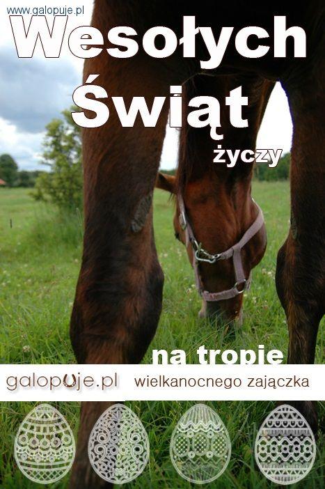 Wesołego Alleluja!