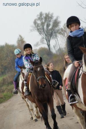 Egzamin na brązową i srebrną odznakę