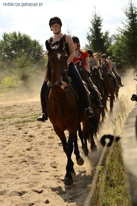 Wakacje w siodle Rancho Grażyna