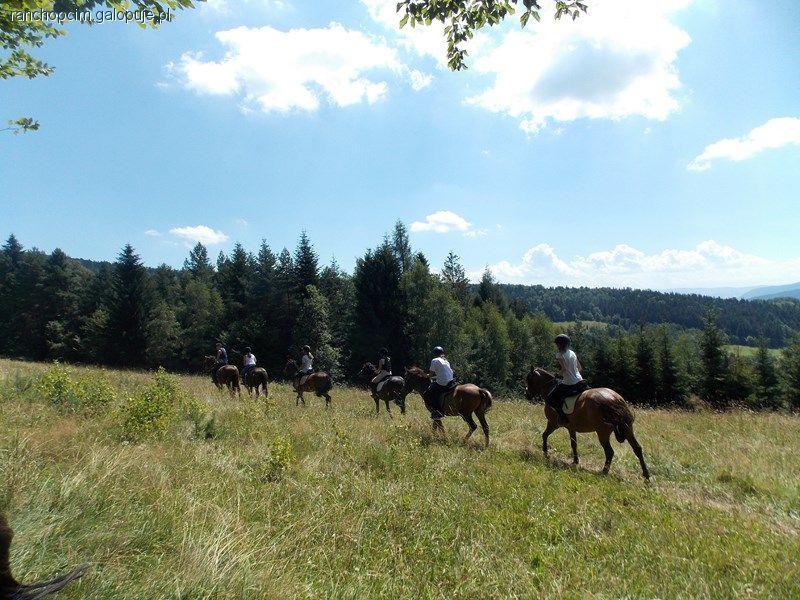 Rekreacyjne i sportowe obozy konne