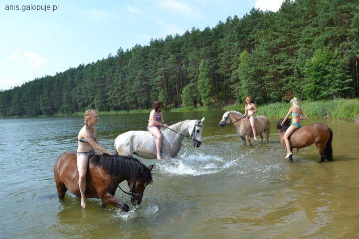 Wakacje w siodle 2014r. Stajnia Dąb