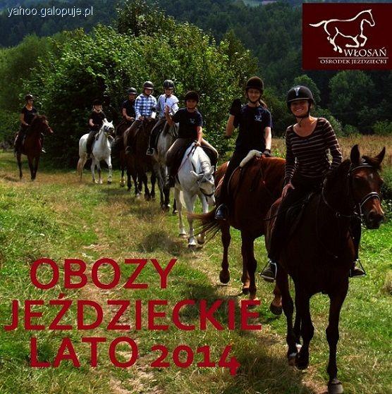 OBOZY JEŹDZIECKIE LATO 2014 W OŚRODKU JEŹDZIECKIM WŁOSAŃ K/KRAKOWA