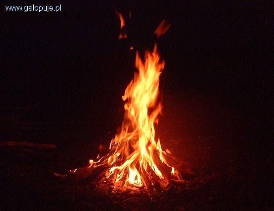 Pożar stajni Jabłonna