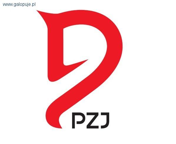 Polacy w Drachten