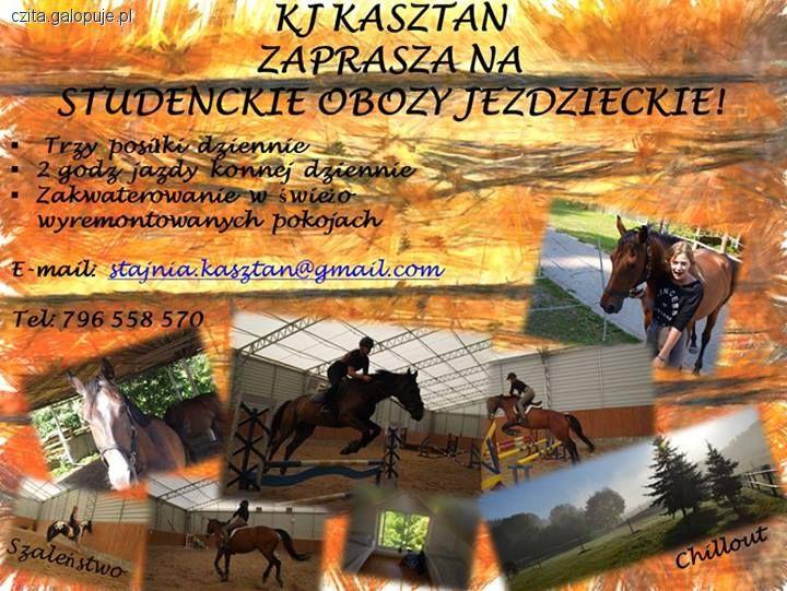 Studenckie obozy jeździeckie !!!