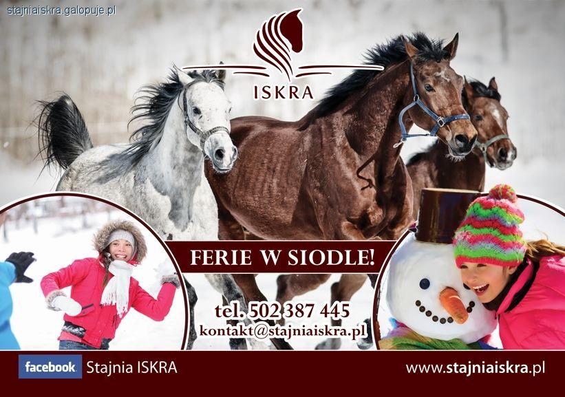 Ferie w siodle 2014 (woj. pomorskie) - transport w obie strony, codzienna jazda konna, kuligi, atrak