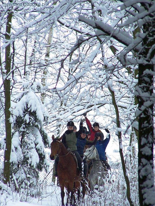 Zimowisko  Jeździeckie 2014
