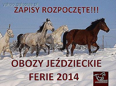 OBOZY JEŹDZIECKIE FERIE 2014 W OJ WŁOSAŃ
