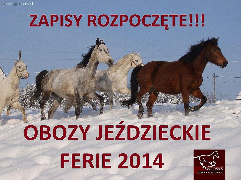 OBOZY JEŹDZIECKIE FERIE 2014 W OJ WŁOSAŃ