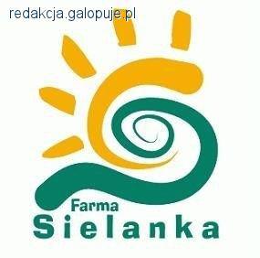 PUCHAR SIELANKI VI kwalifikacje Regionalne Zawody w Skokach Przez Przeszkody i konkursy towarzyskie