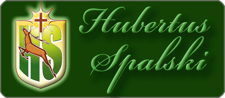 Program Hubertusa Spalskiego 2013