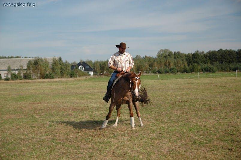 Western nie taki zły jak go malują!