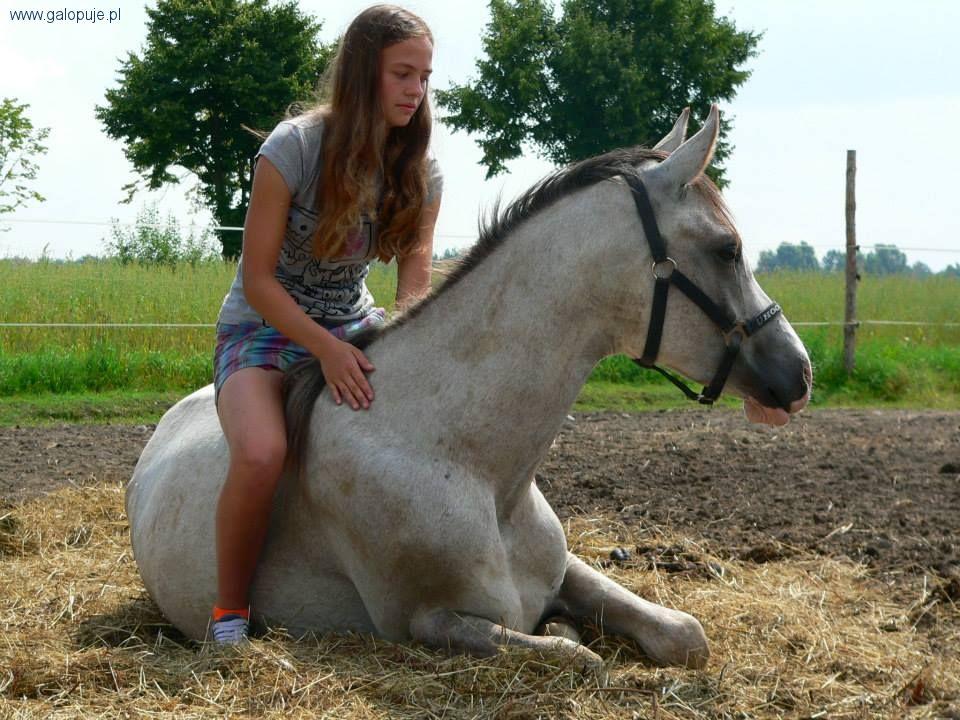 Miłość do Koni 