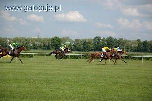Derby Arabskie