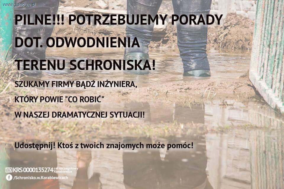 Schronisko w Korabiewicach potrzebuje pomocy!