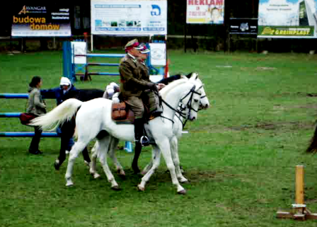 Kawaleria w Rzeszowie