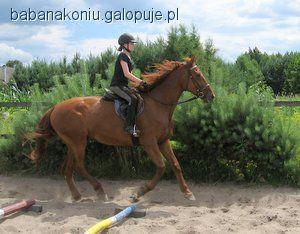 Obóz jeździecki na Babskim Ranczo