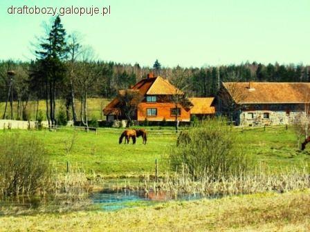 Obozy Jeździeckie Młodzieżowe Mazury
