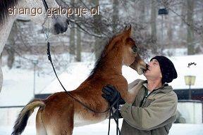 Przez naturę do naturala