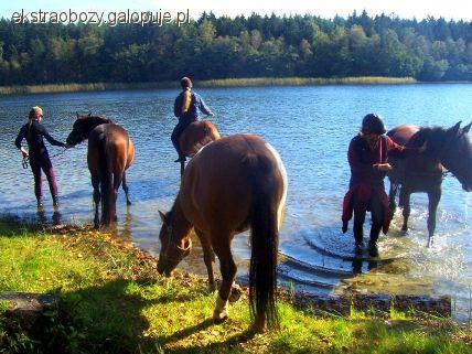 Ekstra obozy konne Fun Horse. Malownicze tereny i naturalna szkoła jazdy :) Możliwość dostosowania d
