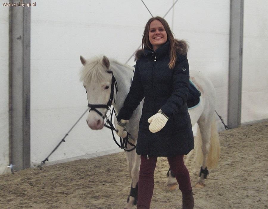 Wolontariat na imprezie Cavaliada Warszawa 2013