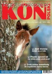WIOSENNY KOŃ POLSKI