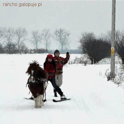 skiskiring ponownie w Rancho Rumak