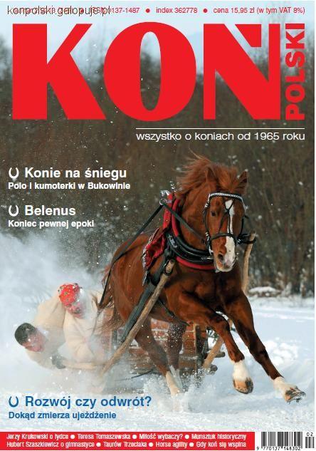 Zimowe szaleństwa z końmi