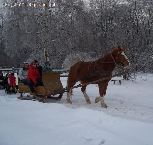 PÓŁKOLONIE JEŹDZIECKIE w Zagrodzie Jeździeckiej Mustang
