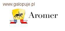 Trening Parkur Otwarty w KJ Aromer