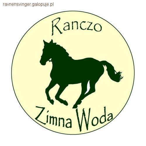 Obóz zimowy - Ranczo Zimna Woda
