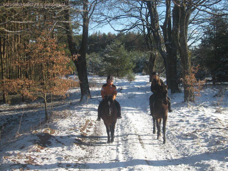 Ferie zimowe w siodle na Kaszubach