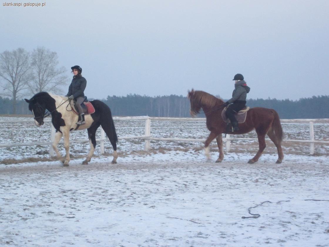 Ferie w siodle w Pasji Popów