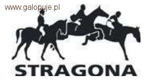 Towarzyskie zawody skokowe w Stragonie