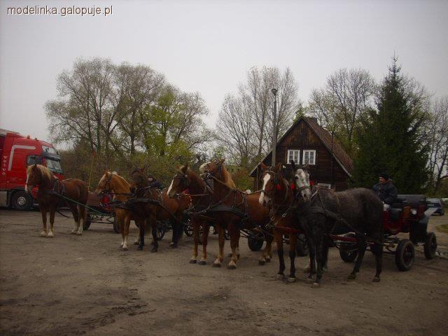Hubertus 2012 Posadowo