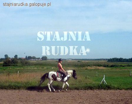 Konsultacje z trenerem