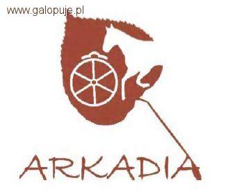 Mikołajkowe zawody w ujeżdżeniu - Arkadia