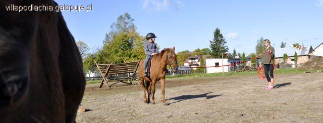 Ferie w siodle 2013