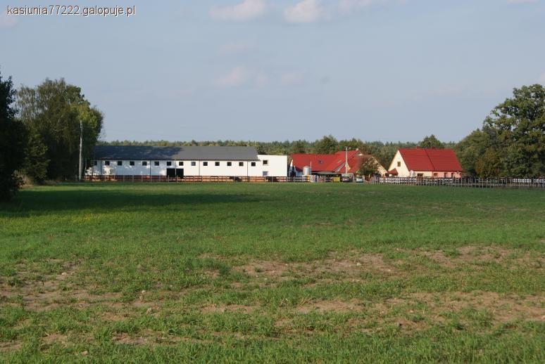 STAJNIA GRONÓWKA - CENNIK