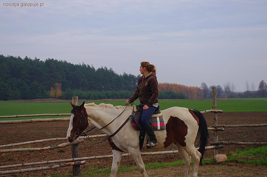 Niedzielna jazda