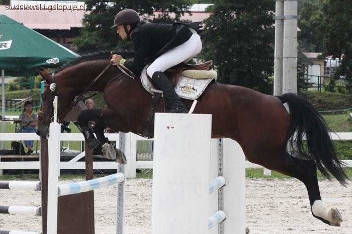 Sportowy trening koni i jeźdźców