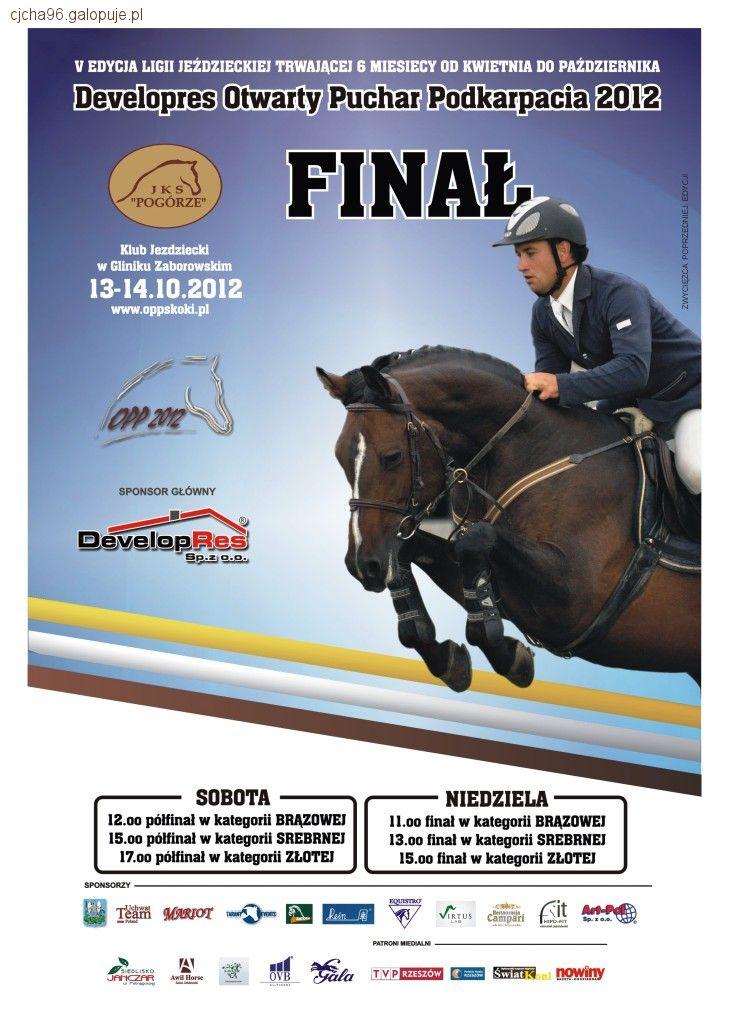 Finał Developres OPP 2012