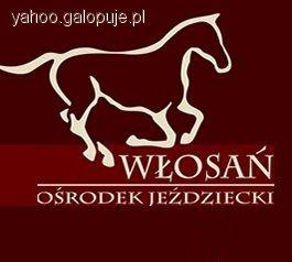 Hubertus  - zaprasza Ośrodek Jeździecki Włosań k/Krakowa