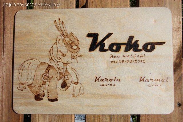 Tabliczki dla koni - wypalane w drewnie