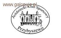 Halowy Puchar Leszna Młodych Koni 2012 