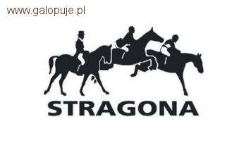 Ponad 100 koni wystartuje w Morawie