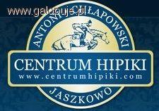 Bieg św. Huberta w Jaszkowie